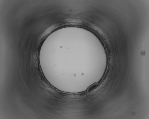 X0000096971354200803070956