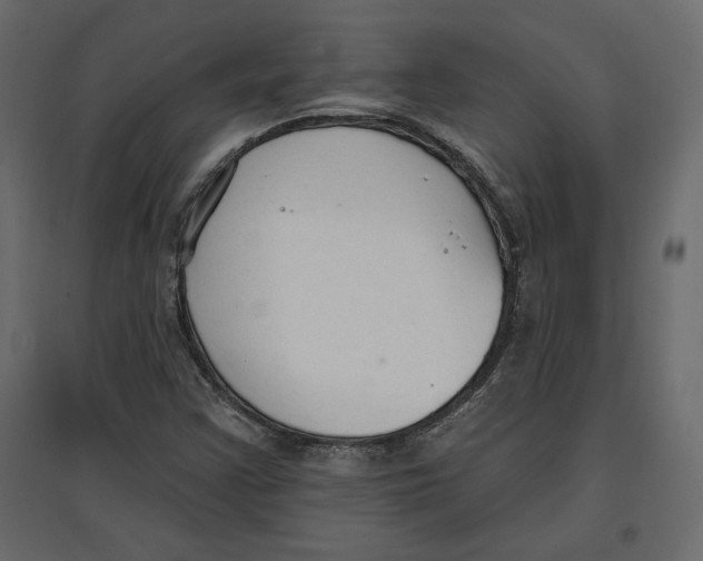 X0000096971355200803070956