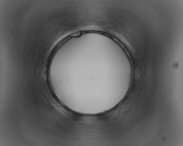 X0000096971356200803070956