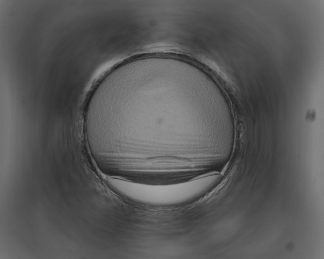 X0000096971358200803070956