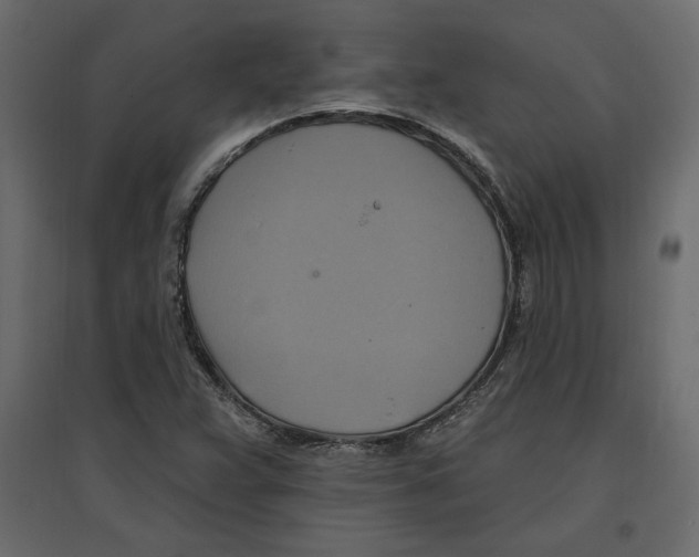 X0000096971359200803070956