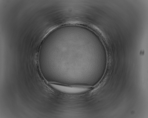 X0000096971361200803070956