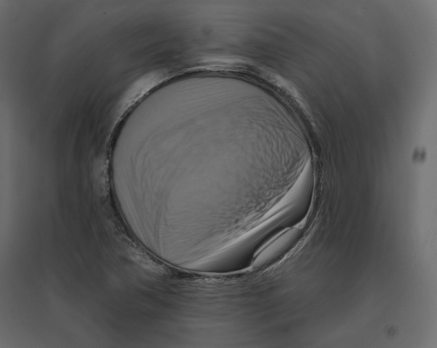 X0000096971362200803070956