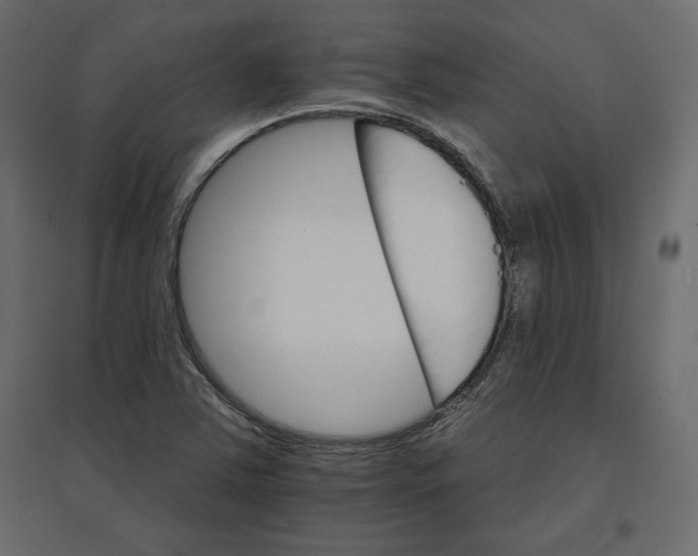 X0000096971363200803070956