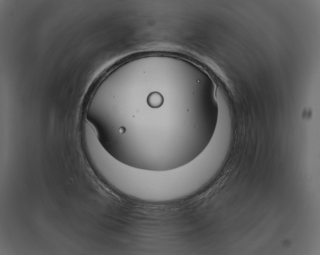 X0000096971364200803070956