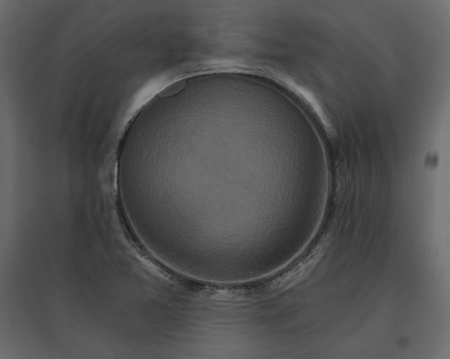 X0000096971365200803070956