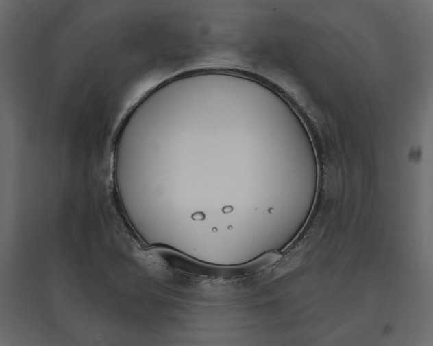 X0000096971366200803070956