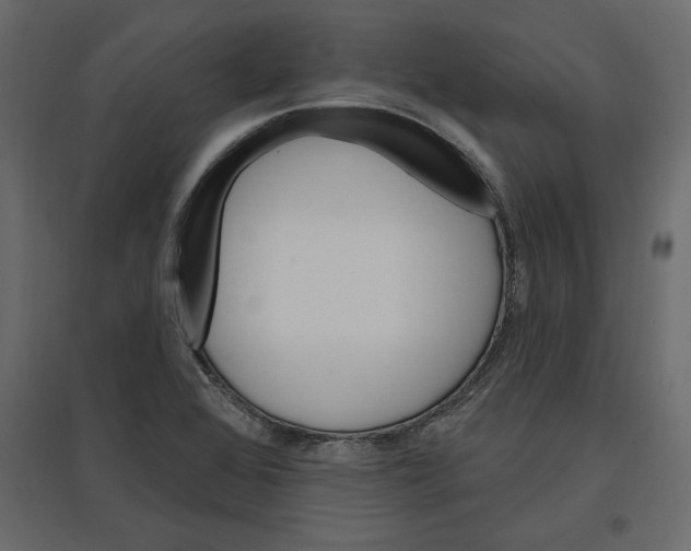 X0000096971368200803070956