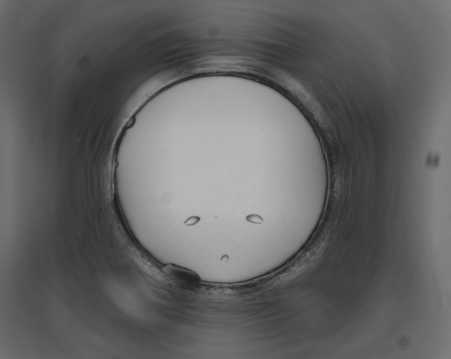 X0000096971370200803070956