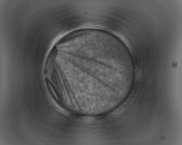 X0000096971371200803070956