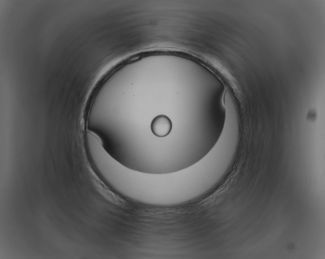 X0000096971372200803070956