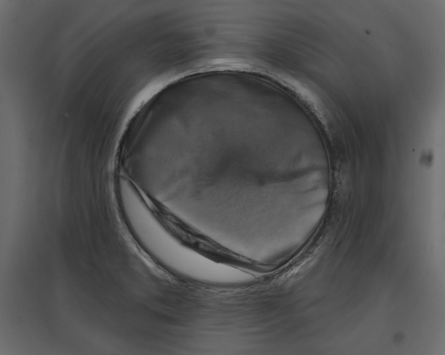 X0000096971373200803070956