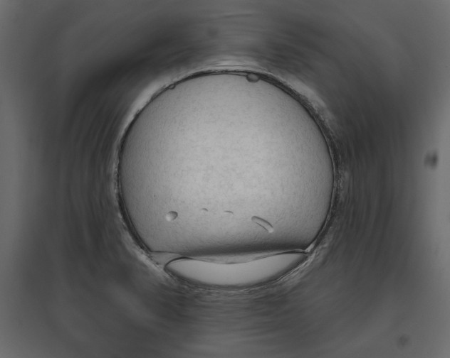 X0000096971374200803070956