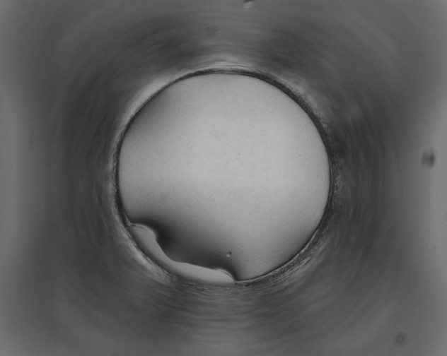 X0000096971375200803070956