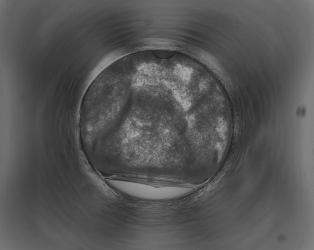 X0000096971378200803070956