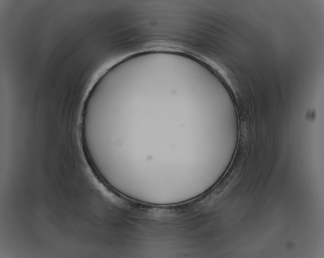 X0000096971379200803070956