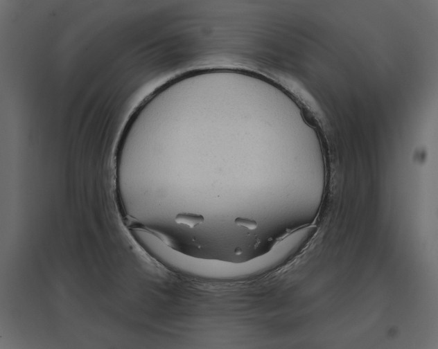 X0000096971380200803070956