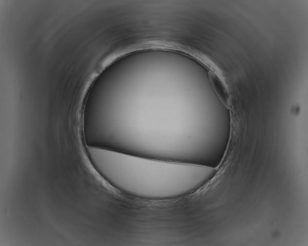 X0000096971381200803070956