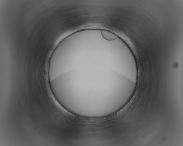 X0000096971382200803070956