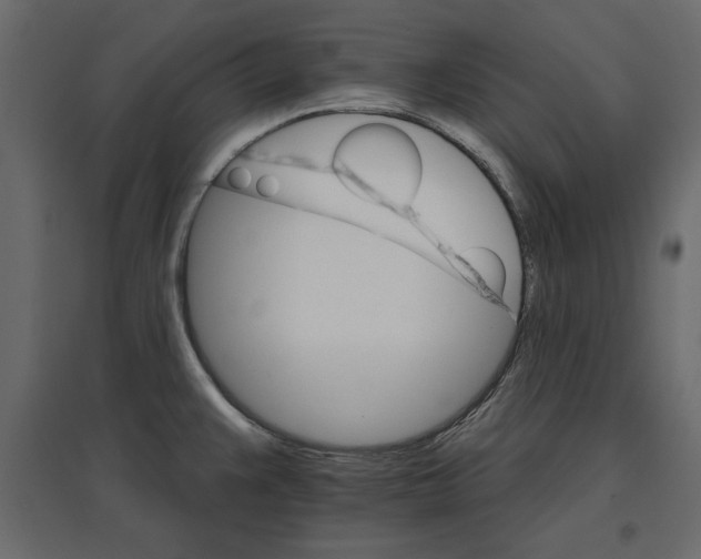 X0000096971383200803070956