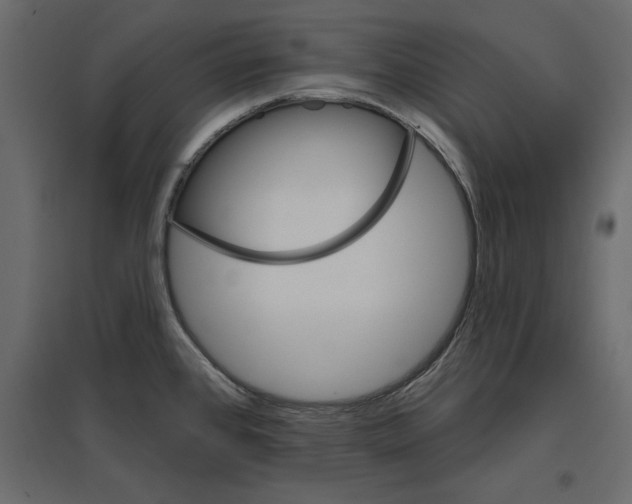 X0000096971384200803070956