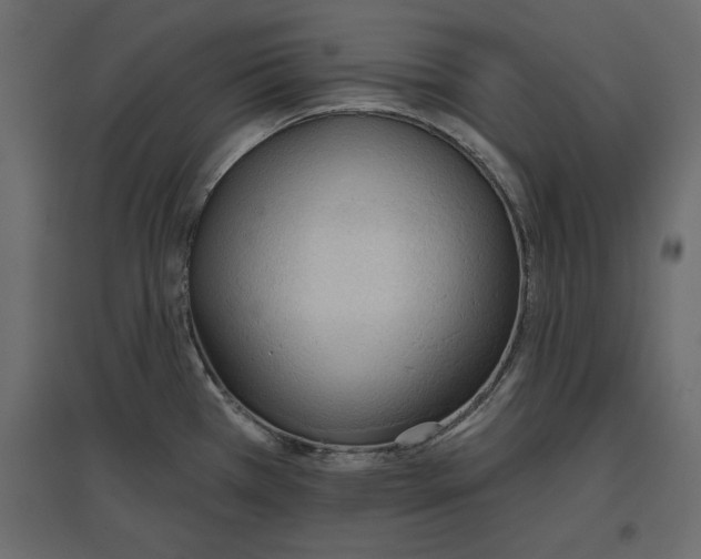 X0000096971385200803070956