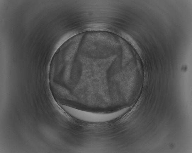 X0000096971386200803070956