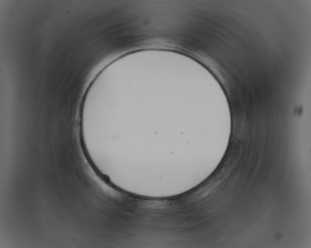 X0000096971387200803070956