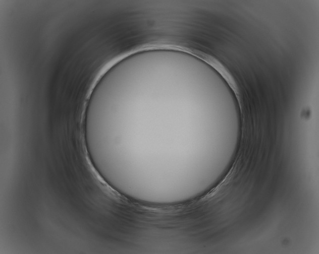 X0000096971388200803070956