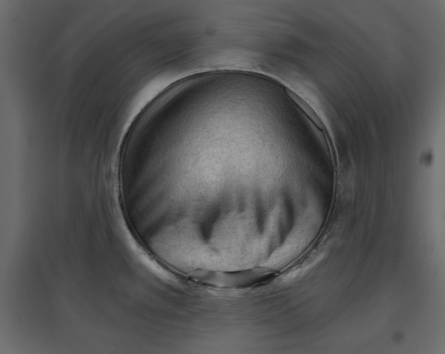 X0000096971389200803070956