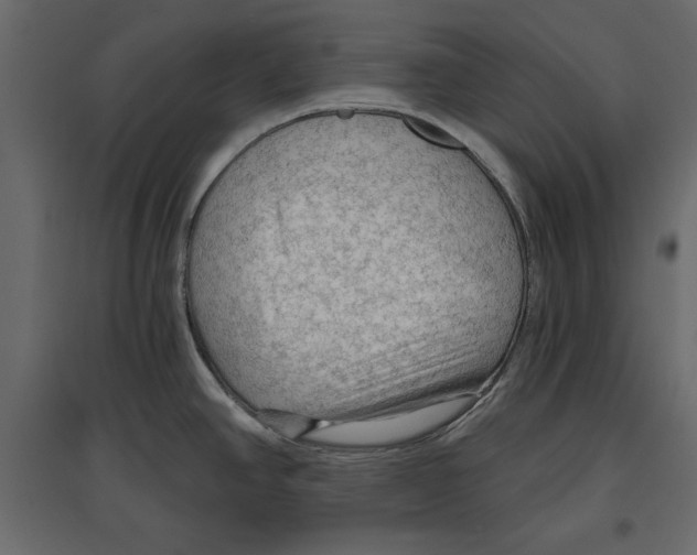 X0000096971390200803070956