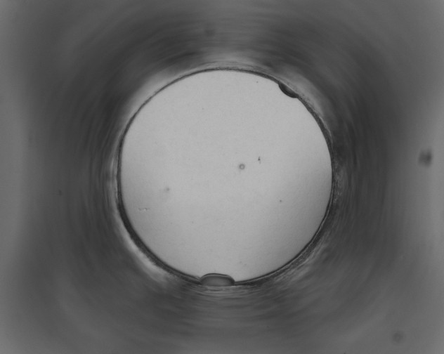 X0000096971391200803070956