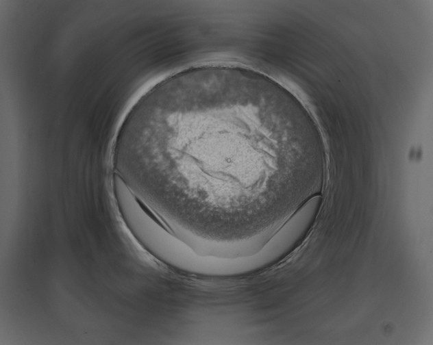 X0000096971392200803070956