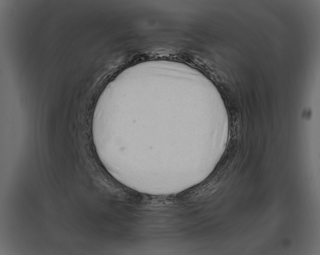 X0000096971393200803070955