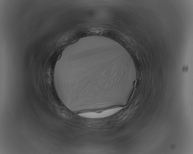 X0000096971394200803070955