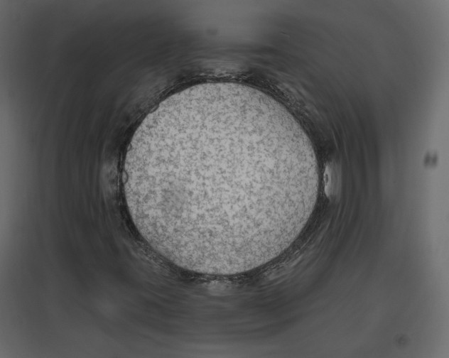 X0000096971395200803070955