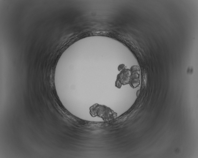 X0000096971396200803070955