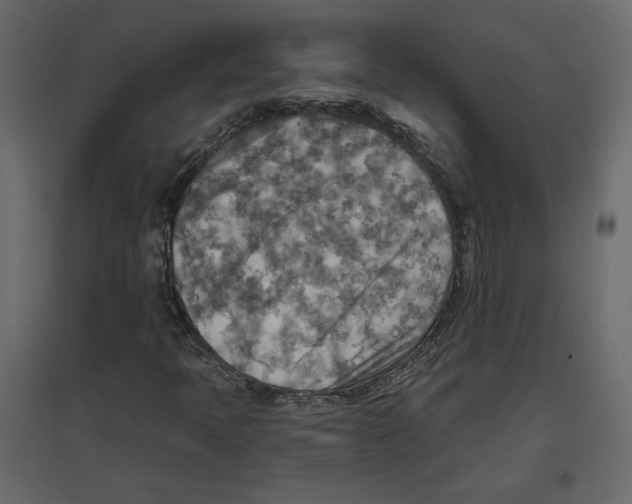 X0000096971397200803070955