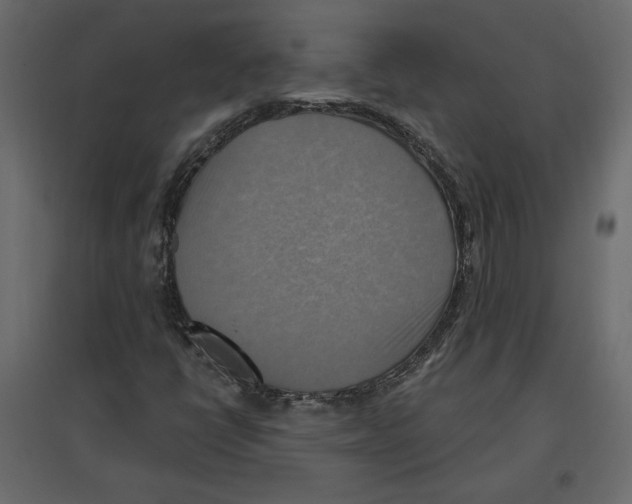 X0000096971398200803070955