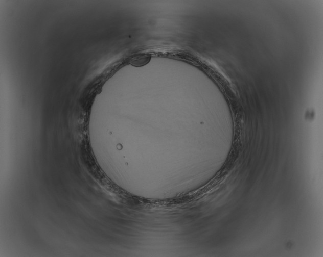 X0000096971399200803070955