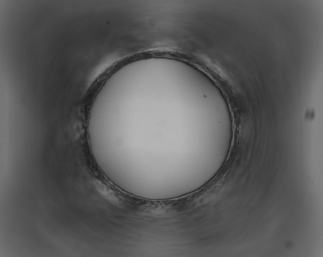 X0000096971400200803070955