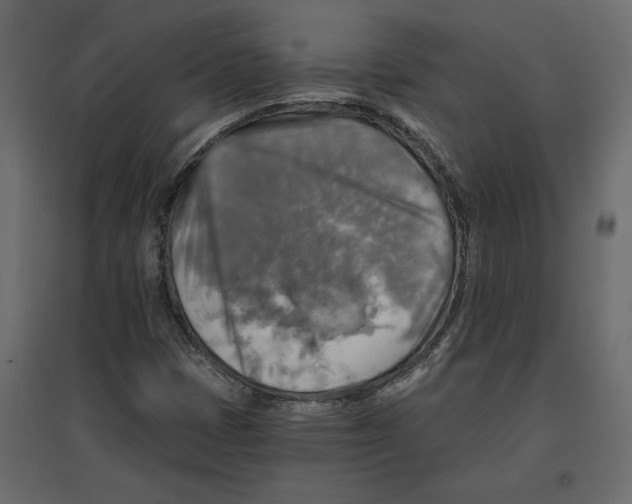 X0000096971401200803070955