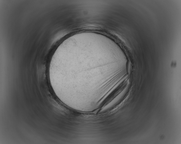 X0000096971402200803070955