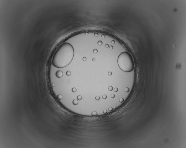 X0000096971404200803070955