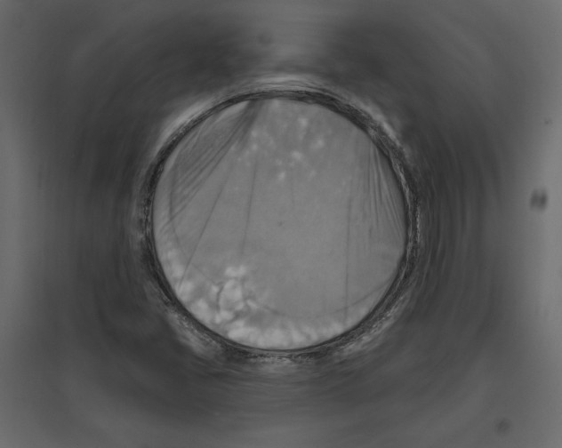 X0000096971405200803070955