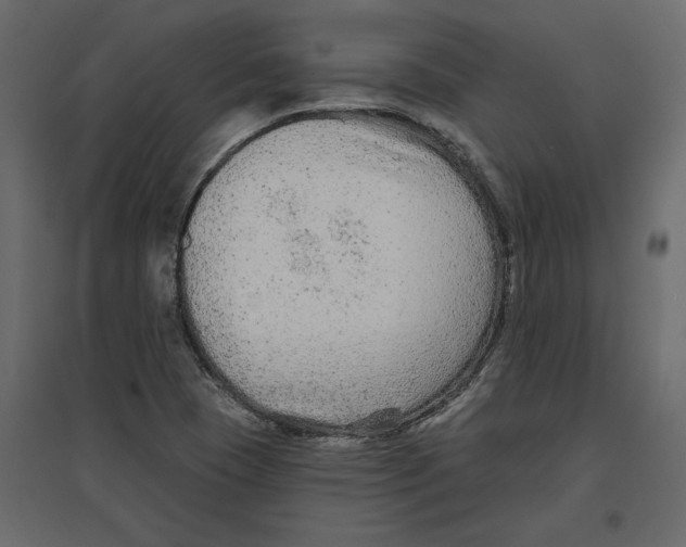 X0000096971409200803070955