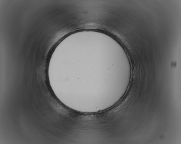 X0000096971410200803070955