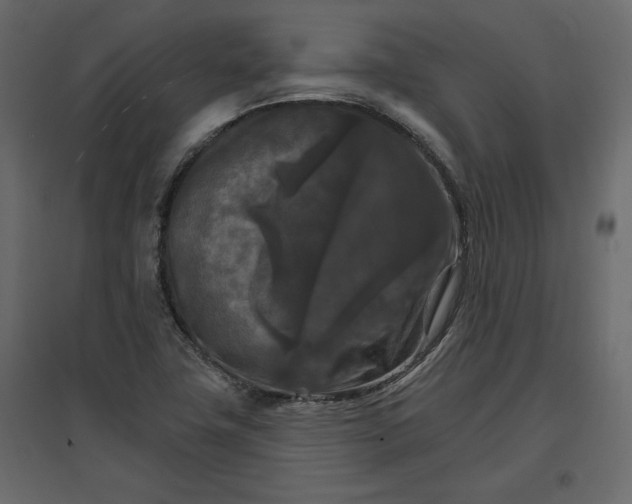 X0000096971411200803070955