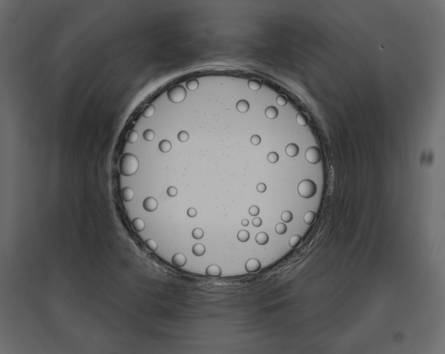 X0000096971412200803070955