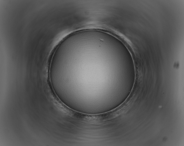 X0000096971415200803070955